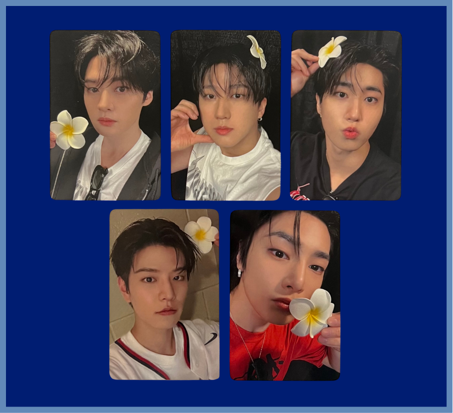 "karma" everline pobs