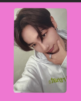 "19.99" special gift pcs