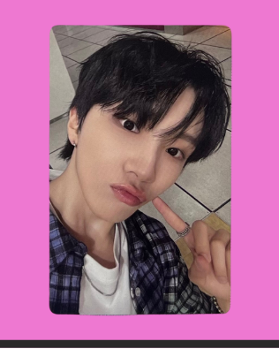 "19.99" special gift pcs