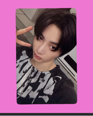 "19.99" special gift pcs