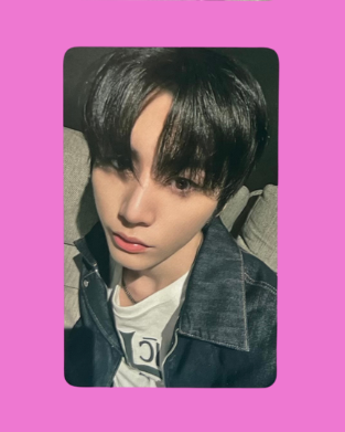 "19.99" special gift pcs