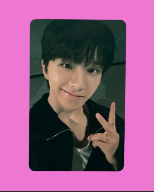 "19.99" special gift pcs