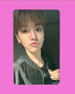 "19.99" special gift pcs