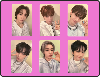 "19.99" special gift pcs