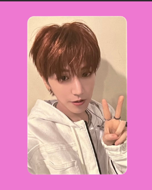 "19.99" special gift pcs