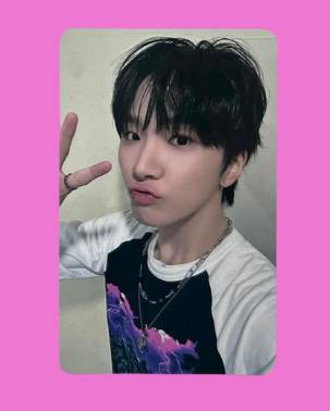 "19.99" special gift pcs