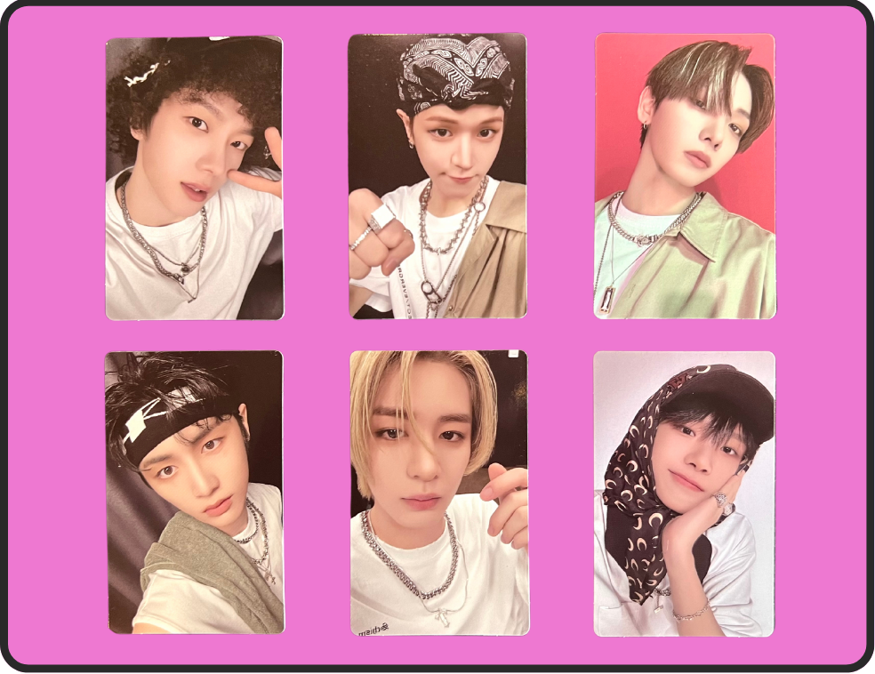 "19.99" showcase standard pobs