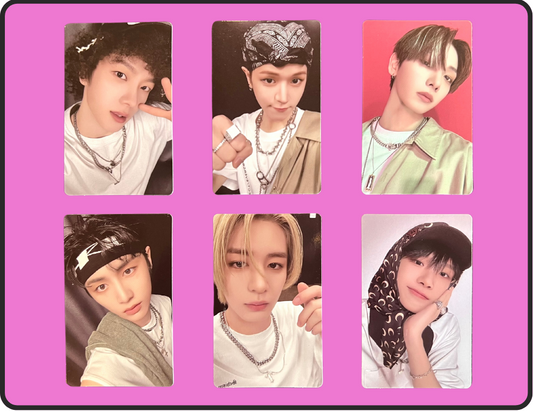 "19.99" showcase standard pobs