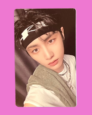 "19.99" showcase standard pobs