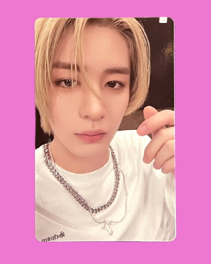 "19.99" showcase standard pobs