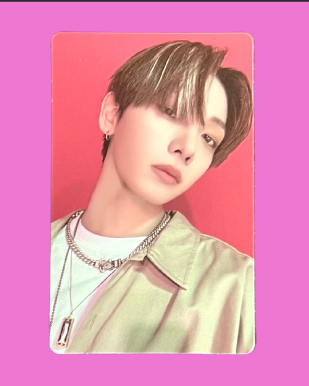 "19.99" showcase standard pobs