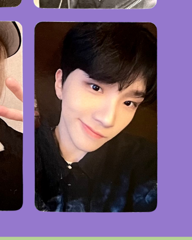 "no genre" oliveyoung pobs