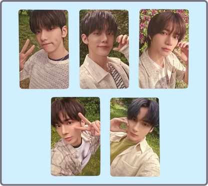 "chikai" tower records luckydraws