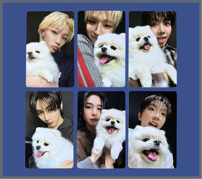 "home" weverse pobs