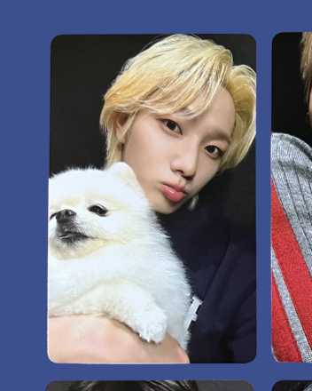"home" weverse pobs