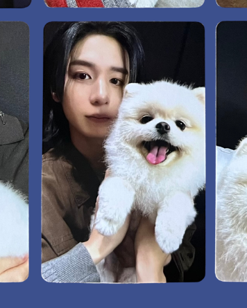 "home" weverse pobs