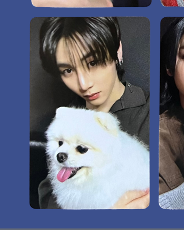 "home" weverse pobs