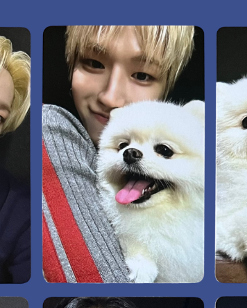 "home" weverse pobs