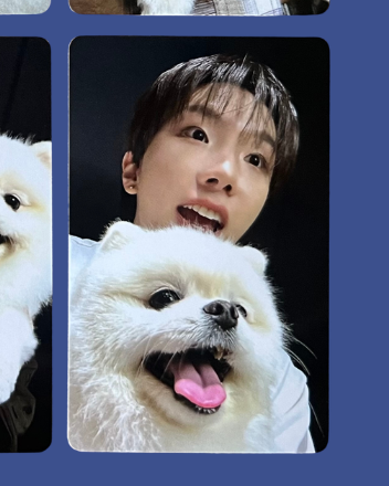 "home" weverse pobs