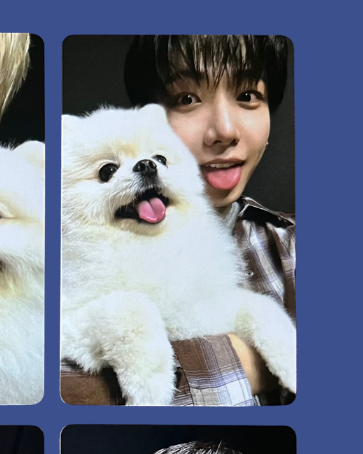 "home" weverse pobs