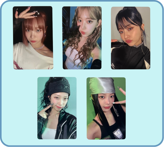 "crazy" studio choom standard pobs