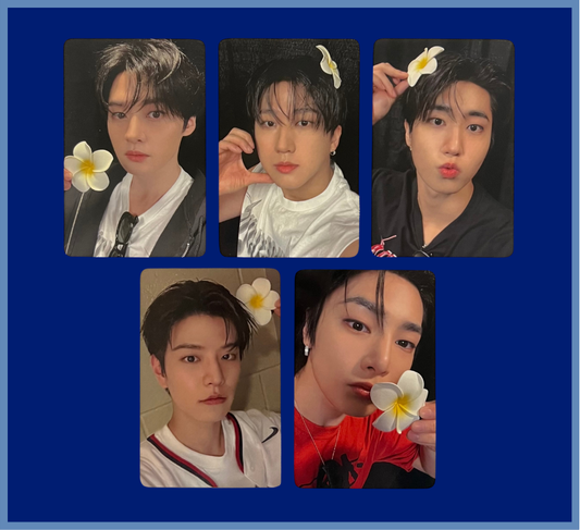 "karma" everline pobs