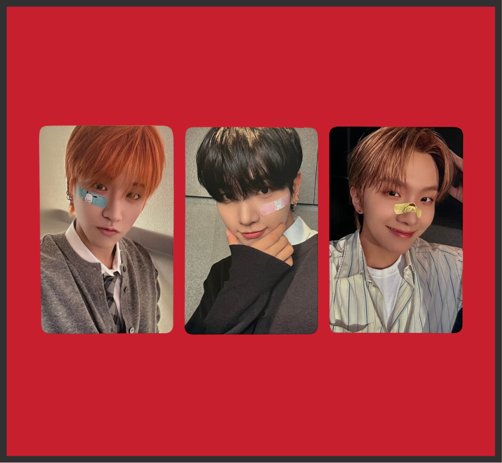 "the action" everline frame pobs