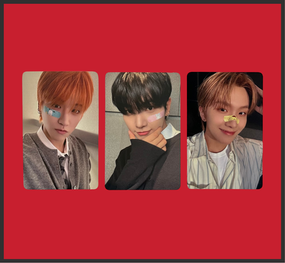 "the action" everline frame pobs