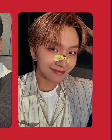 "the action" everline frame pobs