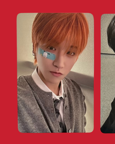 "the action" everline frame pobs