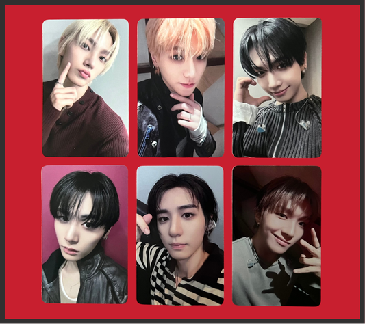 "the action" everline special gift pcs