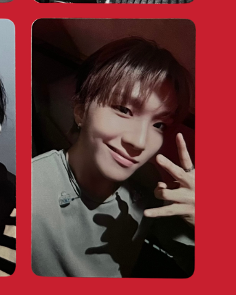 "the action" everline special gift pcs