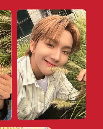 "the action" showcase pobs