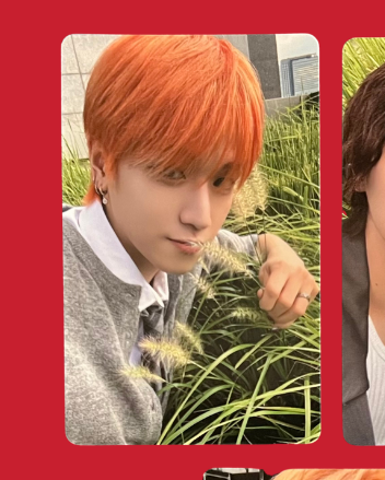 "the action" showcase pobs