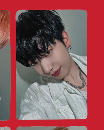 "the action" weverse japan frame pobs