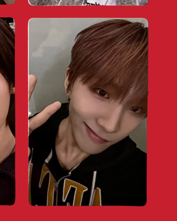 "the action" weverse special gift pcs