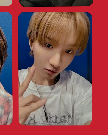 "the action" oliveyoung pobs