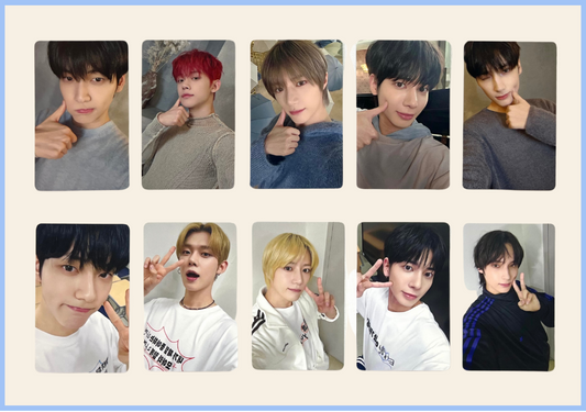 "tsc: sanctuary" comeback live pobs